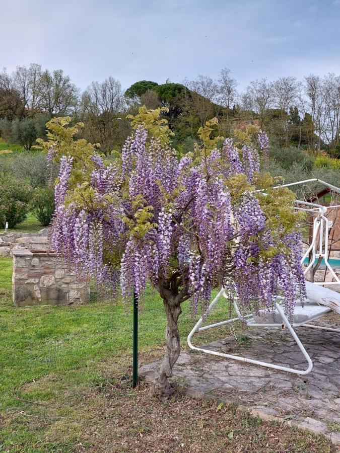 Agriturismo Camera Rosa Тоди Экстерьер фото